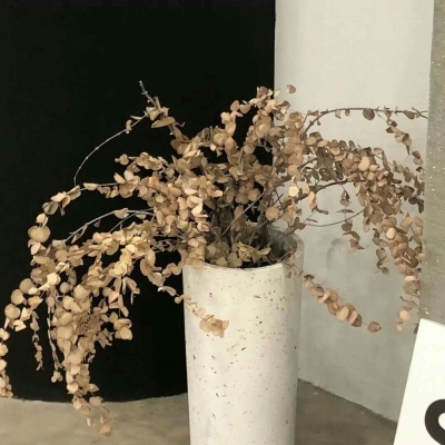 额济纳旗FurryQQ群